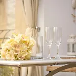 Luxury Apartment