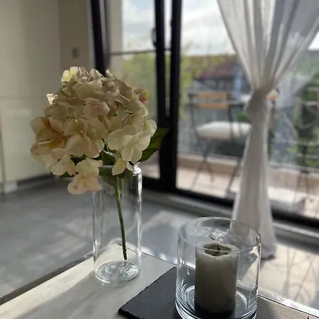 Luxury بلوفديف